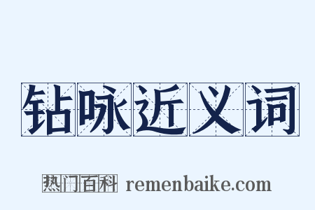 钻咏近义词是什么意思的图片